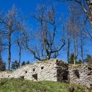 Zřícenina hradu Vítkův kámen