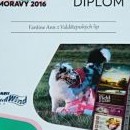 Diplom