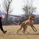 Nebyli jsme na tréninku sami