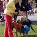 Po každém běhu musí podstoupit veterinární kontrolu