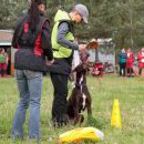 Naše první disciplina - poslušnost