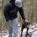 Kali hledala v rozlehlém terénu - takže instrukcím napjatě naslouchá