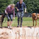 Na chvíli jsme mrkly, jak to vypadá na Czech Dog Run 2018