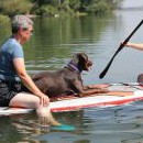 Paddleboard byl těžký oříšek