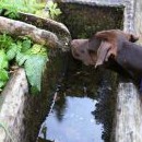 A studánka skoro vyschlá