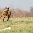 Střapec měla pochopitelně pod kontrolou