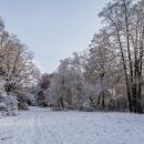 Ten sníh udělá divy i s obyčejnou loukou