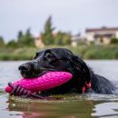 I Róza si může udělat ještě pár tempíček